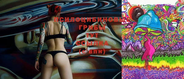 mdpv Горняк