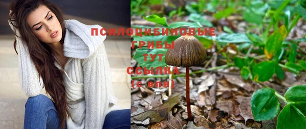гашишное масло Горнозаводск