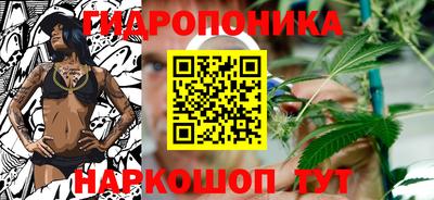 спиды Гатчина