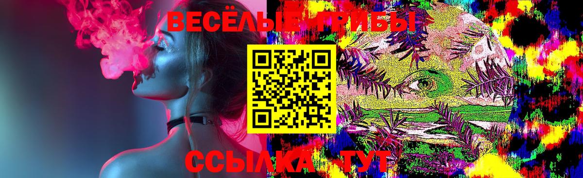 Зеленогорск  Псилоцибиновые грибы Psilocybine cubensis  Галлюциногенные грибы Magic Shrooms  Вход с VPN 