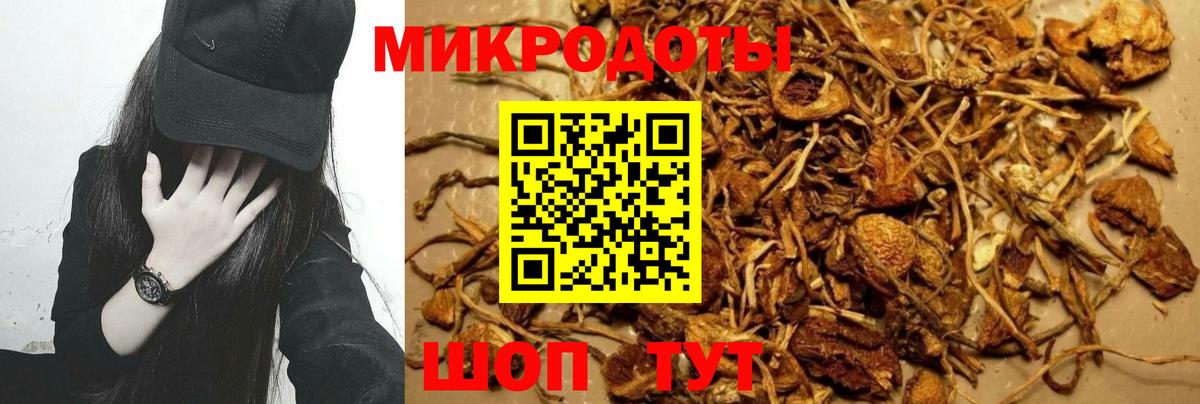 Псилоцибиновые грибы GOLDEN TEACHER  Зеленогорск 