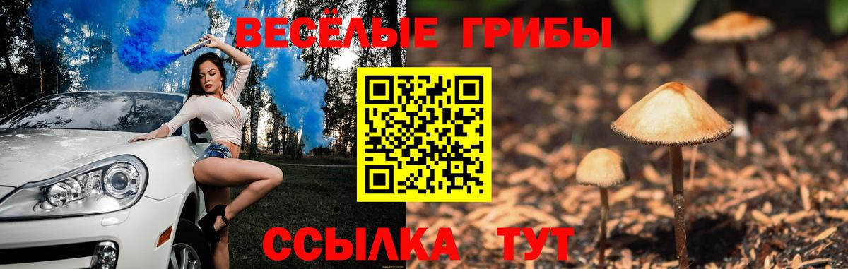 Псилоцибиновые грибы прущие грибы Зеленогорск